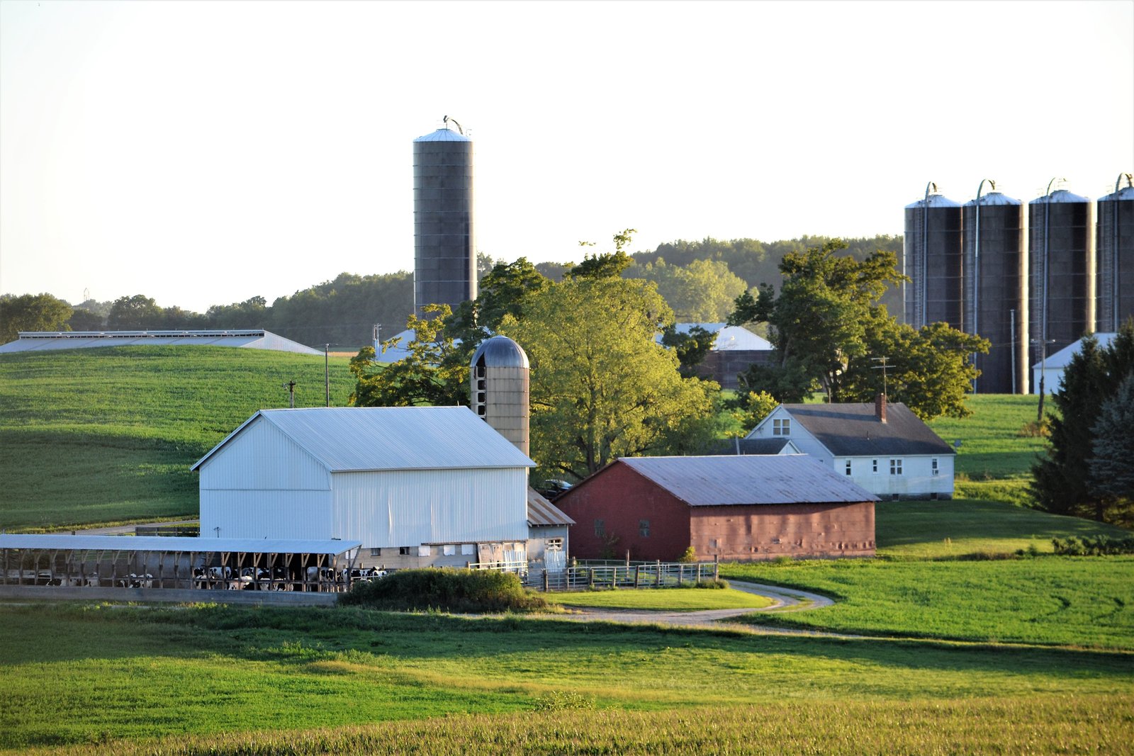 Countryside a rural area of farmland in Michigan!
